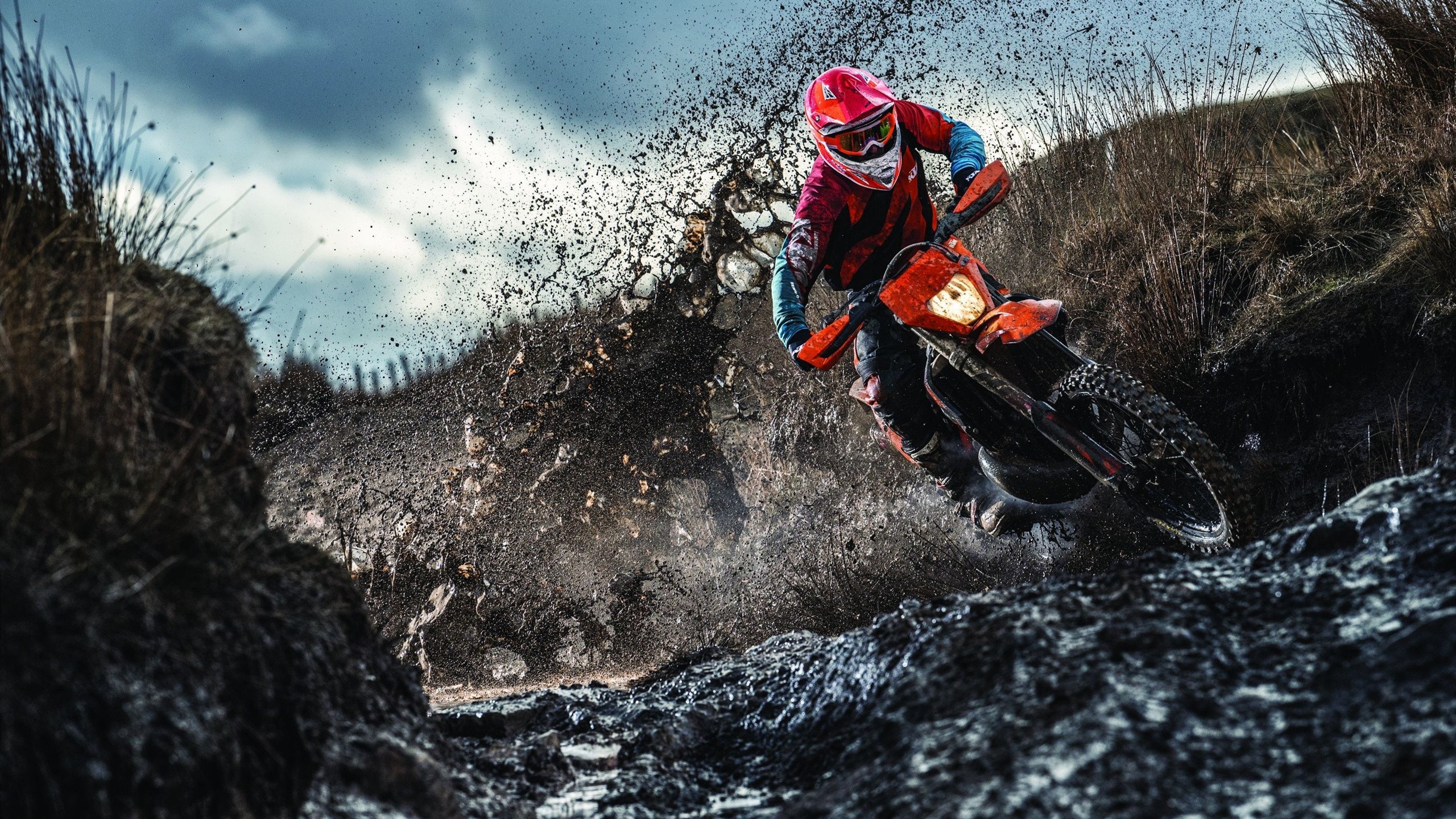 韩国智能手机市场份额持续上升，韩国手机行业的发展